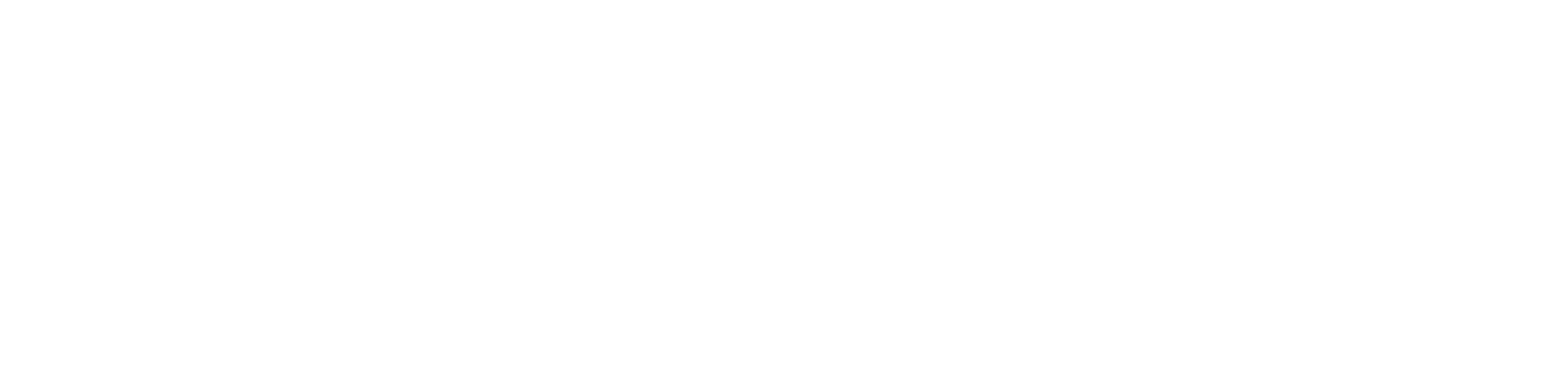 TAURUS360-logo-complet-Blanc-RVB